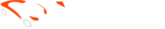Web Your Idea